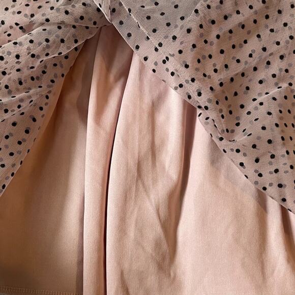 Black & Pink Polka Dot, Flower, Rose, Tulle, Sleeveless, Collared, Party Dress - Picture 5 of 11